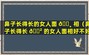 鼻子长得长的女人面 🌸 相（鼻子长得长 🌲 的女人面相好不好）